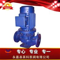 IRG立式熱水循環泵 過濾泵