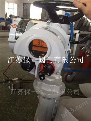 IQC中国罗托克电装 电动执行机构