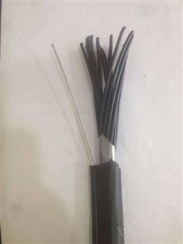 ZRC-HYA 50×2×0.4 电缆规格HYA22