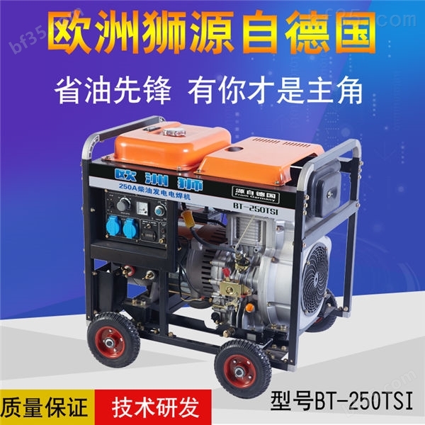 250A柴油发电电焊机品牌