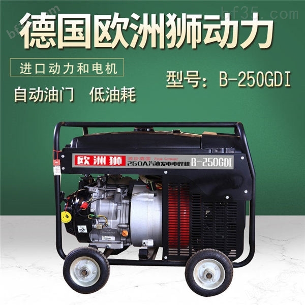 250A交流电发电电焊机价格