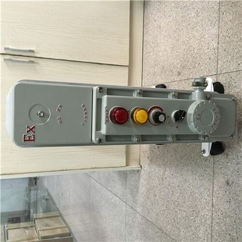 BDR-2000W/9片防爆电热取暖器