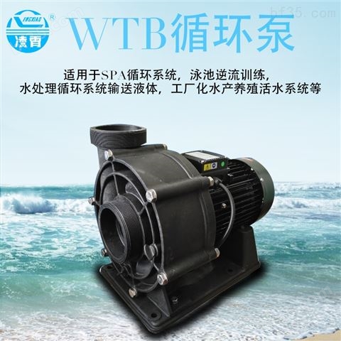 塑料型增压泵 广东凌霄牌泳池循环泵