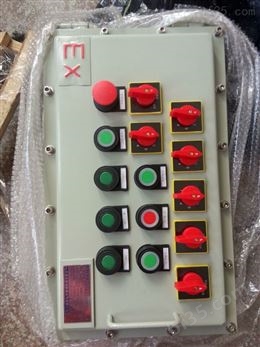 bxx51-4K防爆动力检修箱