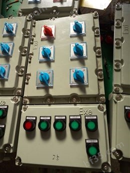 BXMD53-T6/25A2p防爆照明动力配电箱