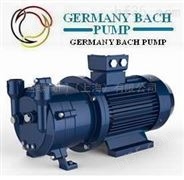 进口水环真空泵（德国进口工业品质）