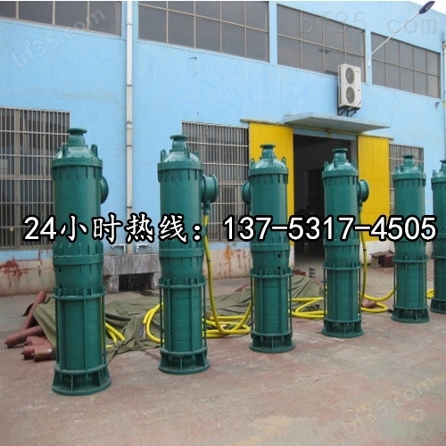 潜水立式排污泵BQS70-130/2-55/N马鞍山图片