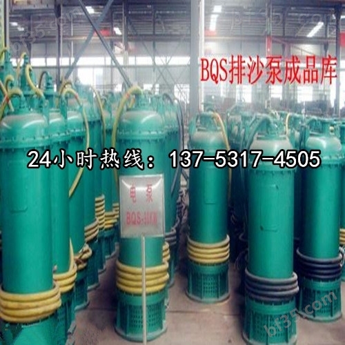 潜水排沙泵原理-用途BQS80-40-22/N朔州市价格