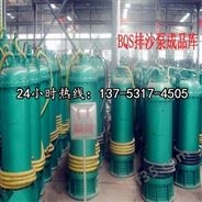 潜水电泵BQS50-50-18.8/N排砂泵绥化市技术参数