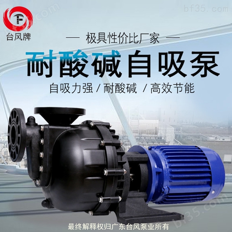 广东污水泵 台风耐酸碱自吸泵  产品质量好