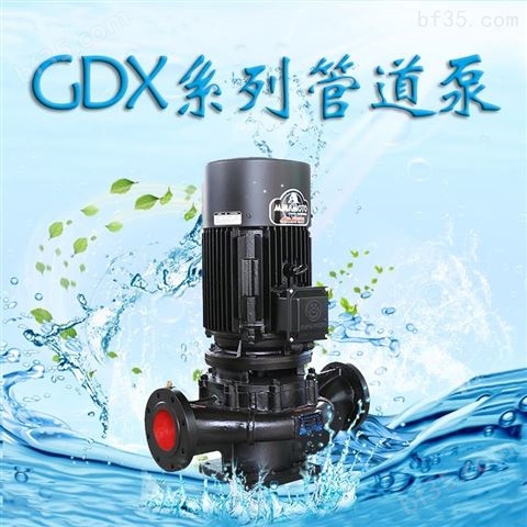 GDX系列立式泵 直联式管道泵