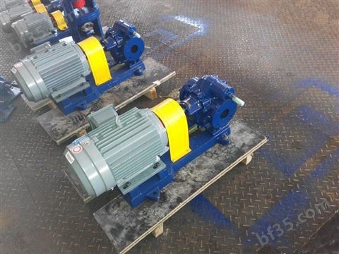 齿轮式输送泵 花生油输油泵 渣油齿轮泵