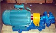220V直流齿轮泵 小流量齿轮油泵