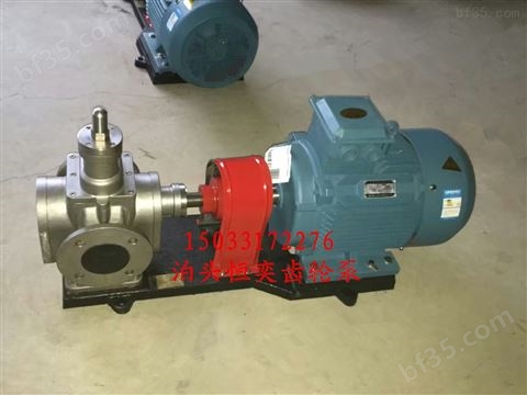圆弧齿轮泵 润滑油泵 滤油机配套齿轮油泵