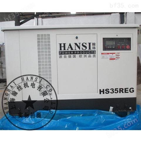 集装箱式35千瓦汽油发电机组HS35REG