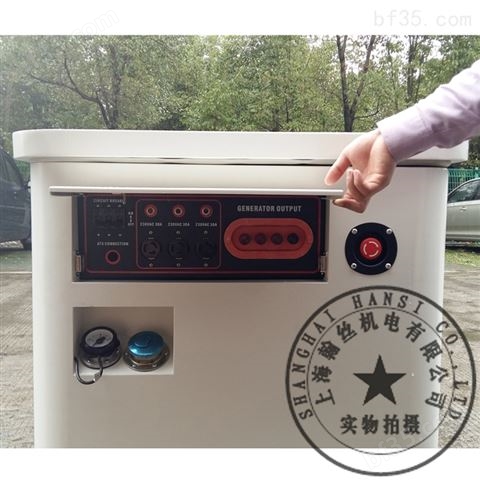 上海10kw汽油发电机应急发电车组