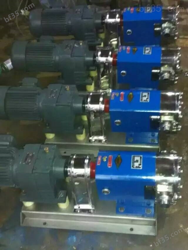 旋转活塞泵 污泥转子泵 正反转输料泵