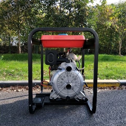 翰丝抽水2寸柴油机水泵环保用