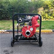 國產柴油機消防泵生產